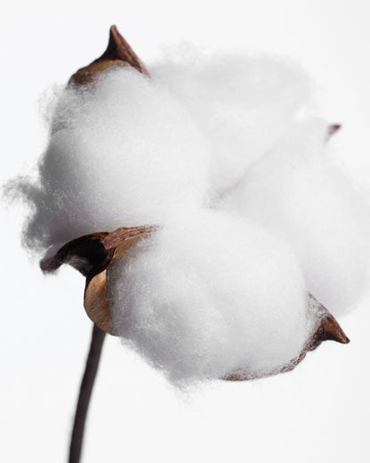 Kit Découverte Déodorant stick Fleur de Coton